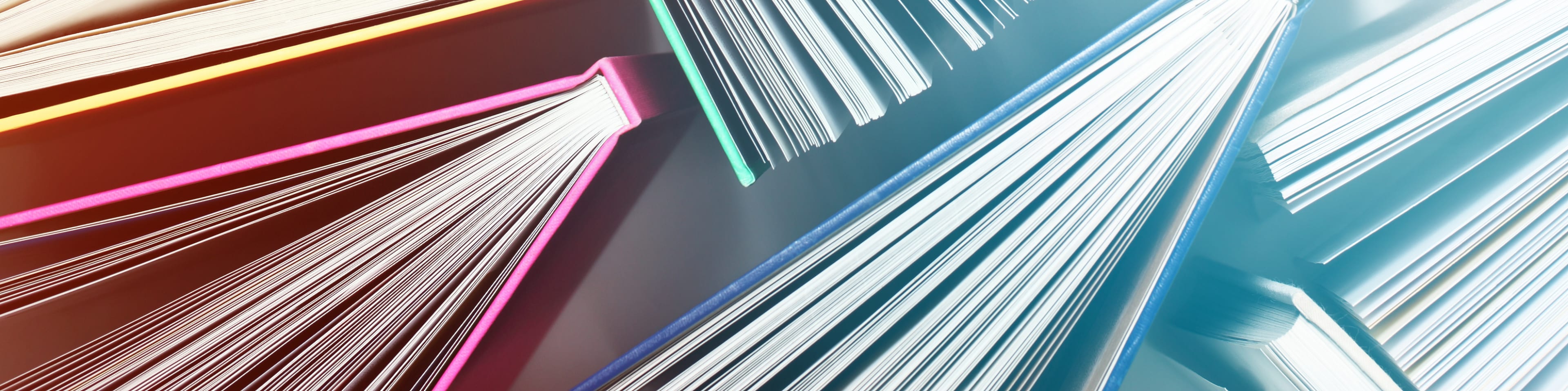 Tax Calendars 2024 with form RSM Switzerland
